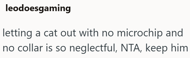 leodoesgaming letting a cat out with no microchip and no collar is so neglectful, NTA, keep him