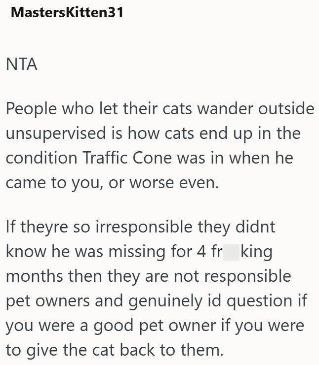 MastersKitten31 ΝΤΑ People who let their cats wander outside unsupervised is how cats end up in the condition Traffic Cone was in when he came to you, or worse even. If theyre so irresponsible they didnt know he was missing for 4 frking months then they are not responsible pet owners and genuinely id question if you were a good pet owner if you were to give the cat back to them.