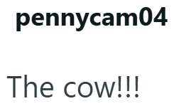 pennycam04 The cow!!!