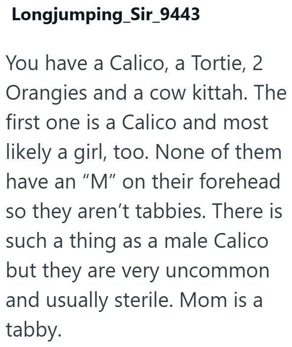 Longjumping_Sir_9443 You have a Calico, a Tortie, 2 Orangies and a cow kittah. The first one is a Calico and most likely a girl, too. None of them have an "M" on their forehead so they aren't tabbies. There is such a thing as a male Calico but they are very uncommon and usually sterile. Mom is a tabby.