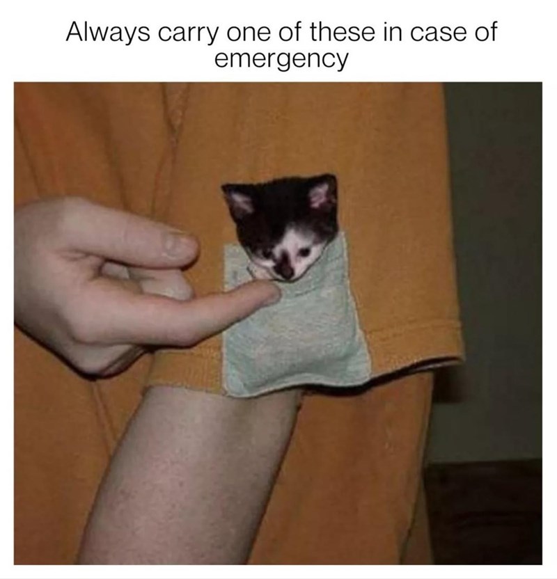 Always carry one of these in case of emergency