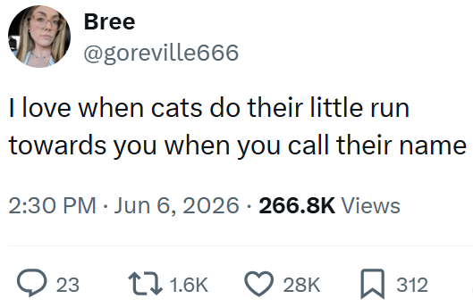 Bree @goreville666 I love when cats do their little run towards you when you call their name 2:30 PM ⚫ Jun 6, 2026 266.8K Views 23 1.6K 28K ☐ 312