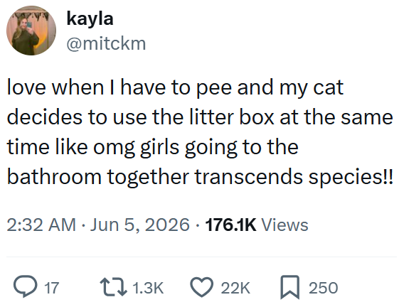 kayla @mitckm love when I have to pee and my cat decides to use the litter box at the same time like omg girls going to the bathroom together transcends species!! 2:32 AM Jun 5, 2026 176.1K Views • Q 17 11.3K 22K 250