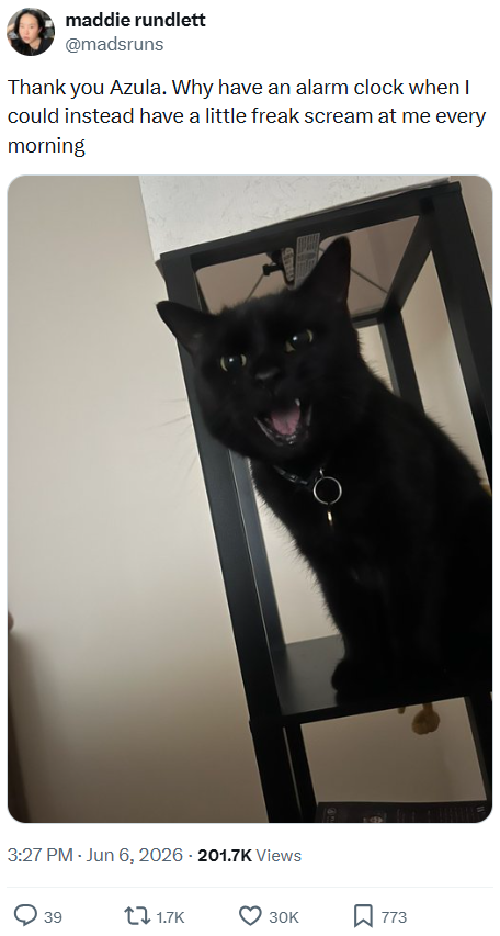 maddie rundlett @madsruns Thank you Azula. Why have an alarm clock when I could instead have a little freak scream at me every morning 3:27 PM - Jun 6, 2026 - 201.7K Views 39 1.7K 30K ☐ 773