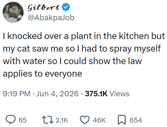 Gilbert @AbakpaJob I knocked over a plant in the kitchen but my cat saw me so I had to spray myself with water so I could show the law applies to everyone 9:19 PM ⚫ Jun 4, 2026 375.1K Views 65 2.1K 46K ☐ 654
