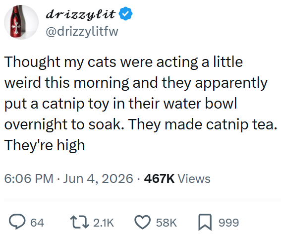 drizzylit @drizzylitfw Thought my cats were acting a little weird this morning and they apparently put a catnip toy in their water bowl overnight to soak. They made catnip tea. They're high 6:06 PM ⚫ Jun 4, 2026 467K Views 64 2.1K 58K 999