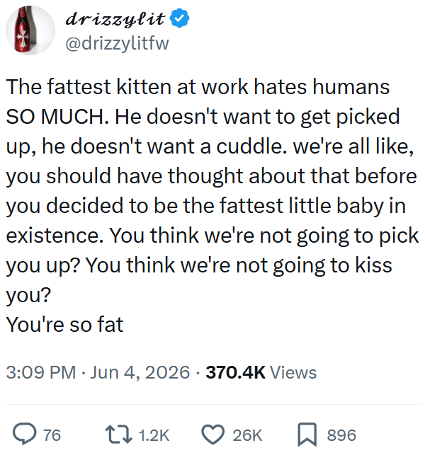 drizzylit @drizzylitfw The fattest kitten at work hates humans SO MUCH. He doesn't want to get picked up, he doesn't want a cuddle. we're all like, you should have thought about that before you decided to be the fattest little baby in existence. You think we're not going to pick you up? You think we're not going to kiss you? You're so fat 3:09 PM ⚫ Jun 4, 2026 370.4K Views 76 1.2K 26K ☐ 896