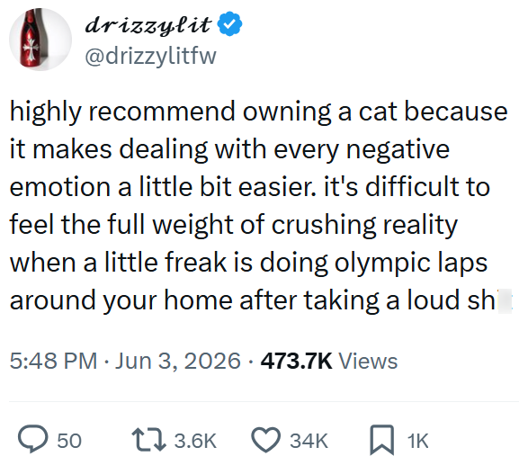 drizzylit @drizzylitfw highly recommend owning a cat because it makes dealing with every negative emotion a little bit easier. it's difficult to feel the full weight of crushing reality when a little freak is doing olympic laps around your home after taking a loud sh 5:48 PM ⚫ Jun 3, 2026 · 473.7K Views 50 17 3.6K 34K ☐ 1K