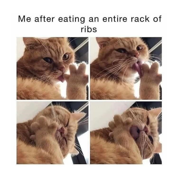 Me after eating an entire rack of ribs