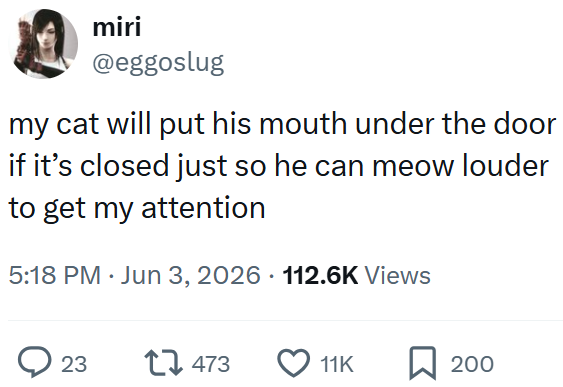 miri @eggoslug my cat will put his mouth under the door if it's closed just so he can meow louder to get my attention 5:18 PM ⚫ Jun 3, 2026 112.6K Views ○ 23 17473 11K 200