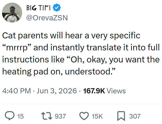 BIG TIMI @OrevaZSN Cat parents will hear a very specific "mrrrp" and instantly translate it into full instructions like "Oh, okay, you want the heating pad on, understood." 4:40 PM ⚫ Jun 3, 2026 167.9K Views 15 17937 15K ☐ 307