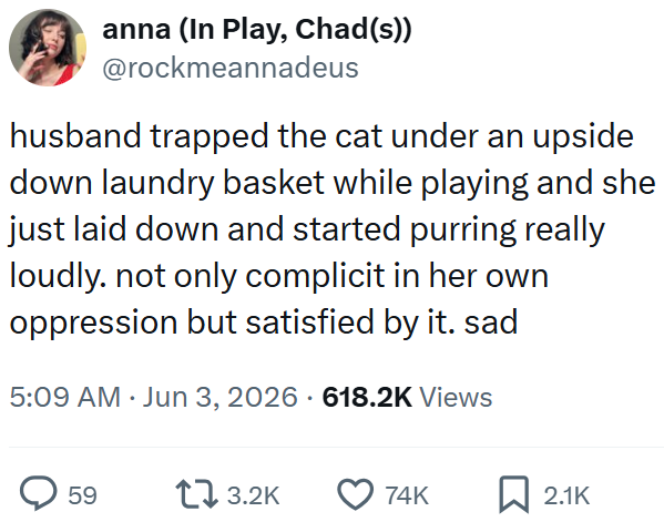 anna (In Play, Chad(s)) @rockmeannadeus husband trapped the cat under an upside down laundry basket while playing and she just laid down and started purring really loudly. not only complicit in her own oppression but satisfied by it. sad 5:09 AM ⚫ Jun 3, 2026 618.2K Views 59 13.2K 74K ☐ 2.1K
