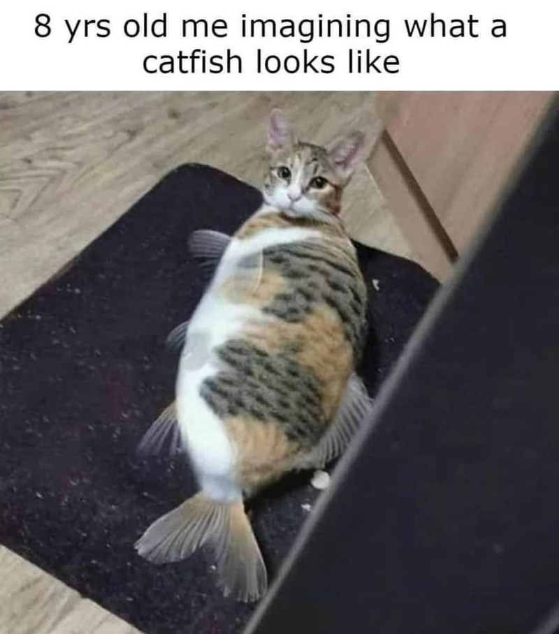 8 yrs old me imagining what a catfish looks like