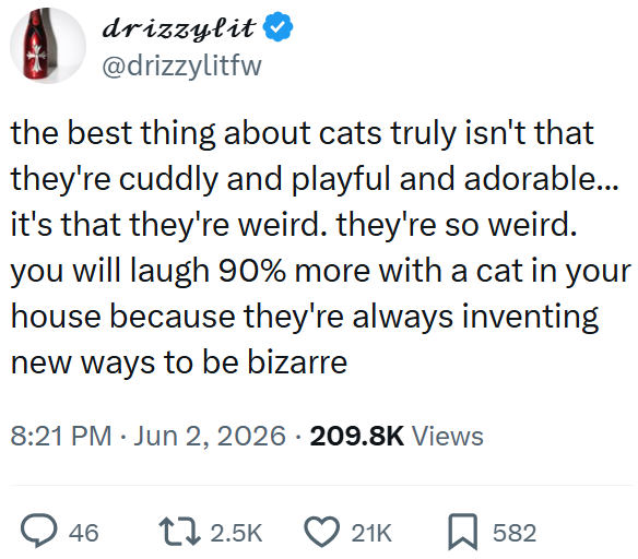 drizzylit @drizzylitfw the best thing about cats truly isn't that they're cuddly and playful and adorable... it's that they're weird. they're so weird. you will laugh 90% more with a cat in your house because they're always inventing new ways to be bizarre 8:21 PM Jun 2, 2026 209.8K Views 46 12.5K 21K ☐ 582