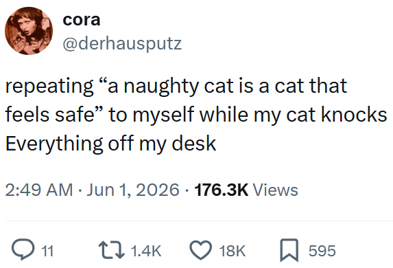 cora @derhausputz repeating "a naughty cat is a cat that feels safe" to myself while my cat knocks Everything off my desk 2:49 AM Jun 1, 2026 176.3K Views • ○ 11 1.4K 18K 595