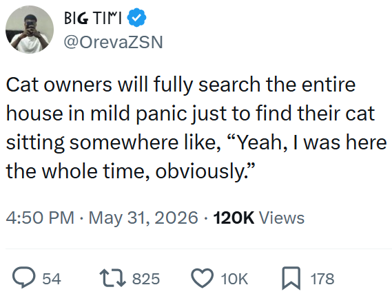 BIG TIMI @OrevaZSN Cat owners will fully search the entire house in mild panic just to find their cat sitting somewhere like, “Yeah, I was here the whole time, obviously." 4:50 PM • May 31, 2026 120K Views > 54 17825 10K ☐ 178