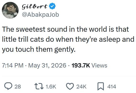 Gilbert @AbakpaJob The sweetest sound in the world is that little trill cats do when they're asleep and you touch them gently. 7:14 PM ⚫ May 31, 2026 193.7K Views 28 1.6K 24K ☐ 414