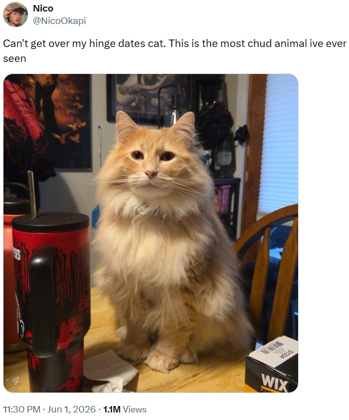 Nico @NicoOkapi Can't get over my hinge dates cat. This is the most chud animal ive ever seen 腿 11:30 PM ⚫ Jun 1, 2026 1.1M Views VEELS WIX