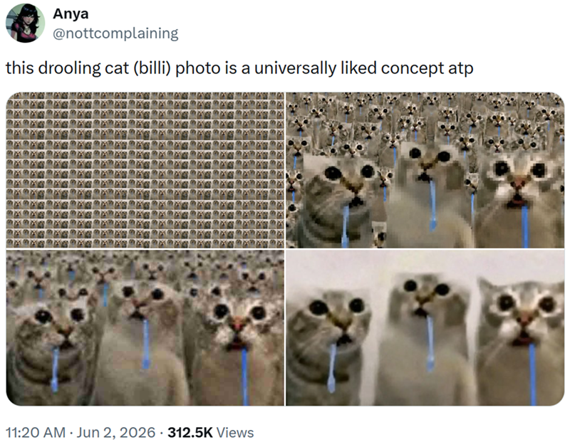 Anya @nottcomplaining this drooling cat (billi) photo is a universally liked concept atp 11:20 AM ⚫ Jun 2, 2026 312.5K Views