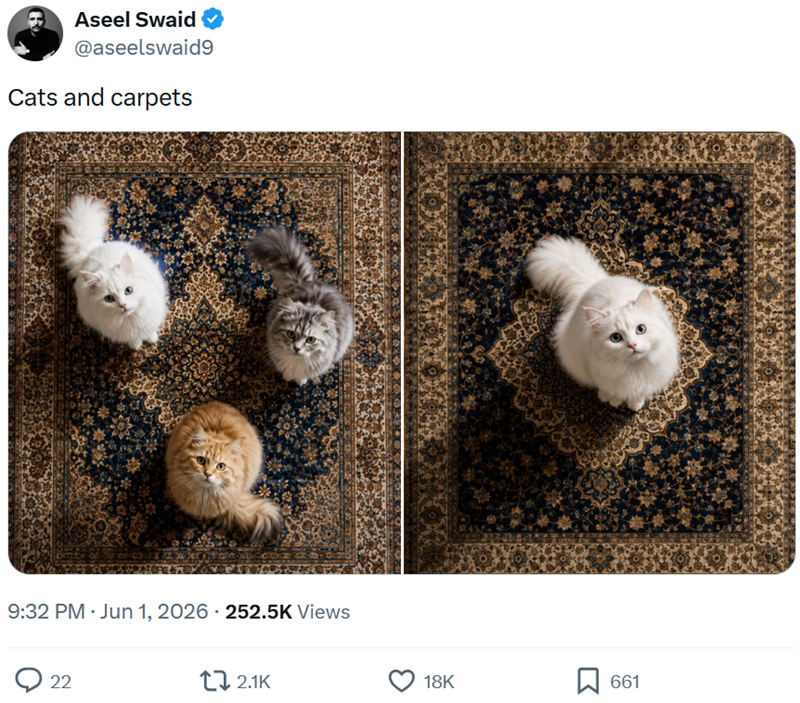 Aseel Swaid @aseelswaid9 Cats and carpets 9:32 PM ⚫ Jun 1, 2026 - 252.5K Views 22 2.1K 18K ☐ 661