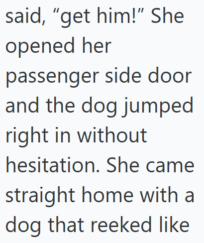 said, "get him!" She opened her passenger side door and the dog jumped right in without hesitation. She came straight home with a dog that reeked like