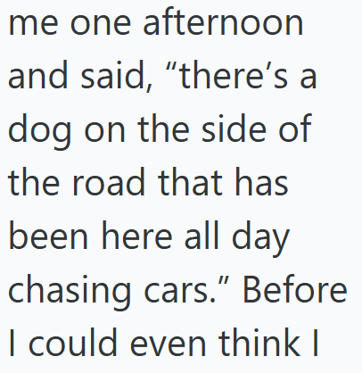 me one afternoon and said, "there's a dog on the side of the road that has been here all day chasing cars." Before I could even think I
