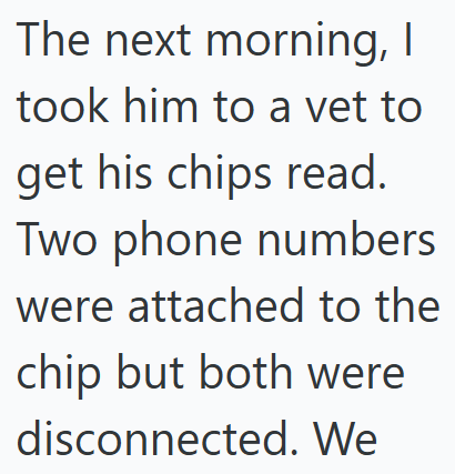 The next morning, I took him to a vet to get his chips read. Two phone numbers were attached to the chip but both were disconnected. We