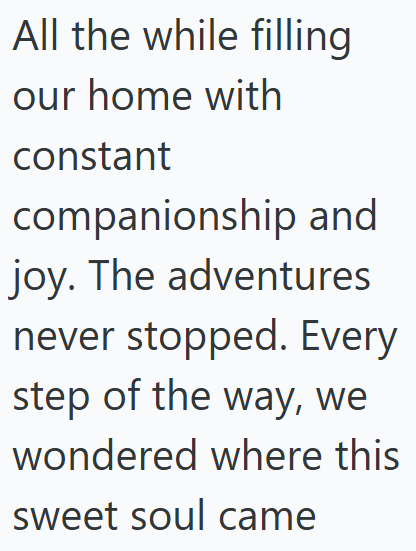 All the while filling our home with constant companionship and joy. The adventures never stopped. Every step of the way, we wondered where this sweet soul came