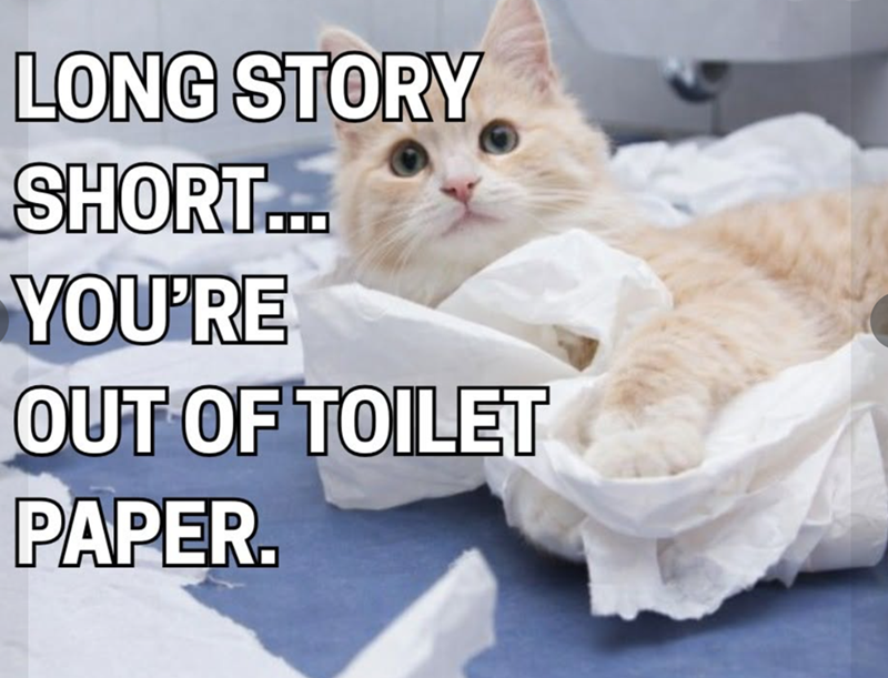 LONG STORY SHORT... YOU'RE OUT OF TOILET PAPER.