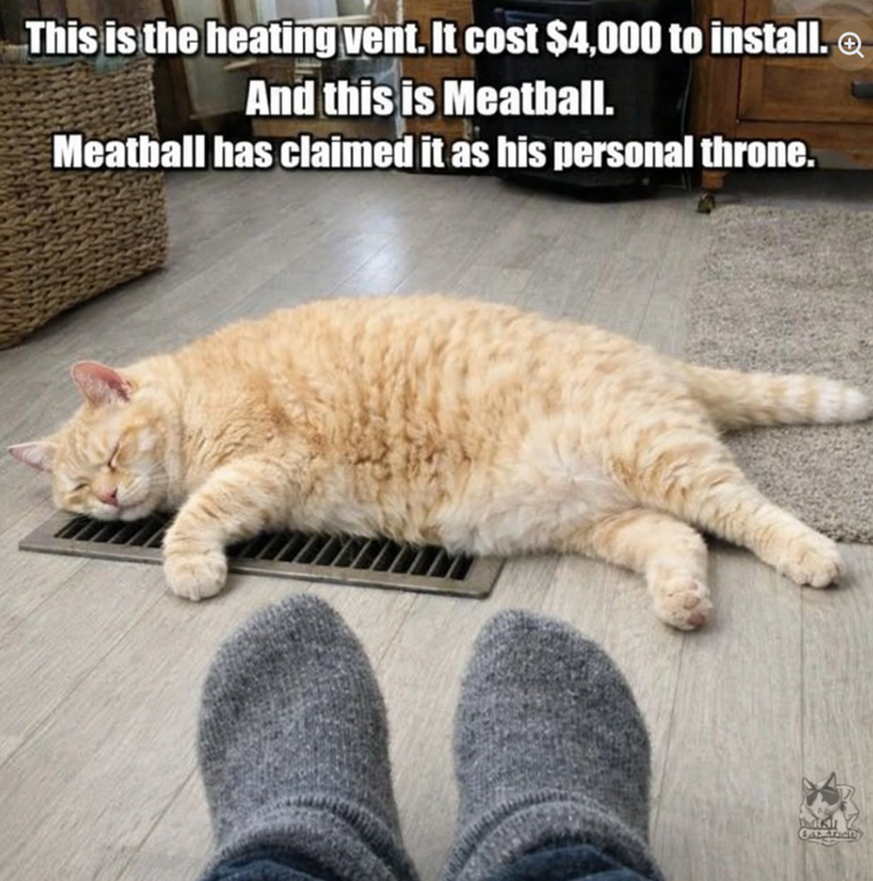 This is the heating vent. It cost $4,000 to install. And this is Meatball. Meatball has claimed it as his personal throne.