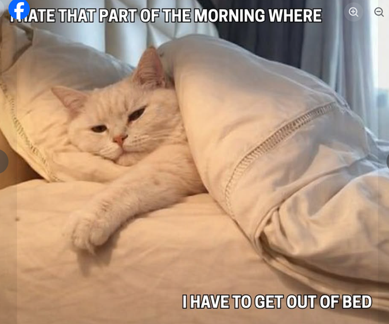 f.ATE THAT PART OF THE MORNING WHERE Q I HAVE TO GET OUT OF BED