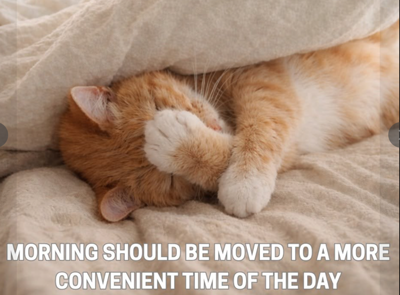 MORNING SHOULD BE MOVED TO A MORE CONVENIENT TIME OF THE DAY