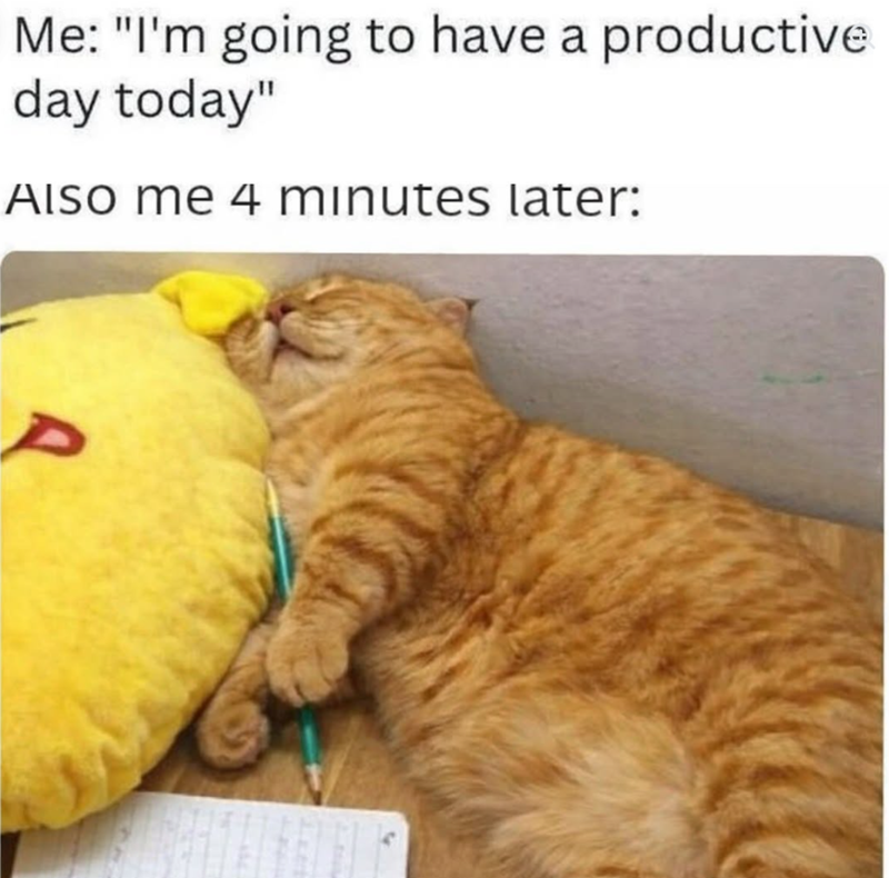 Me: "I'm going to have a productive day today" Also me 4 minutes later: