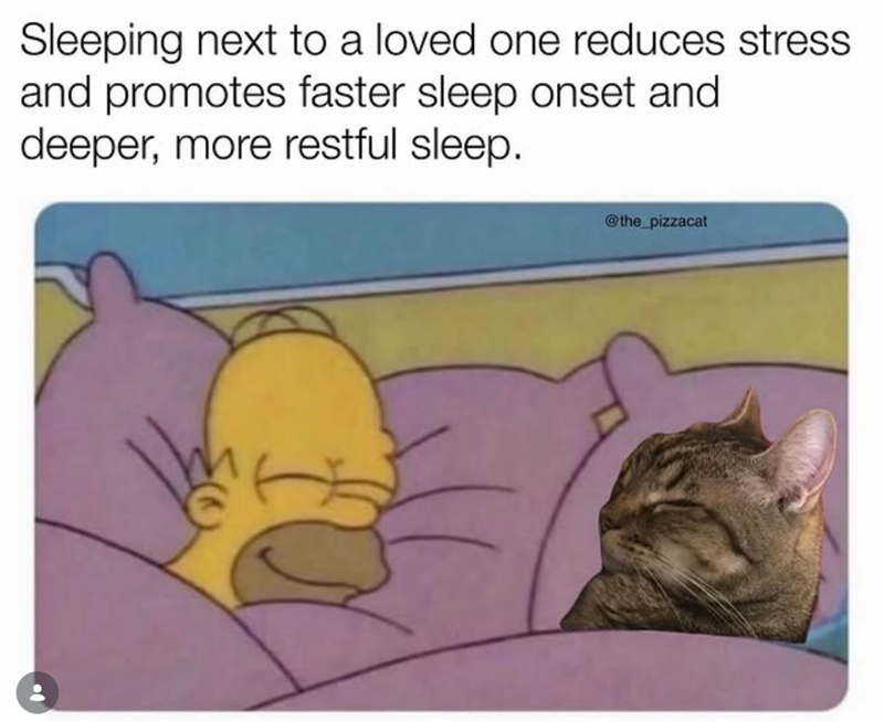 Sleeping next to a loved one reduces stress. and promotes faster sleep onset and deeper, more restful sleep. @the_pizzacat