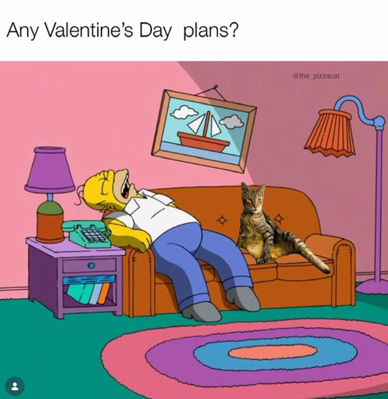 Any Valentine's Day plans? τα @the_pizzacat