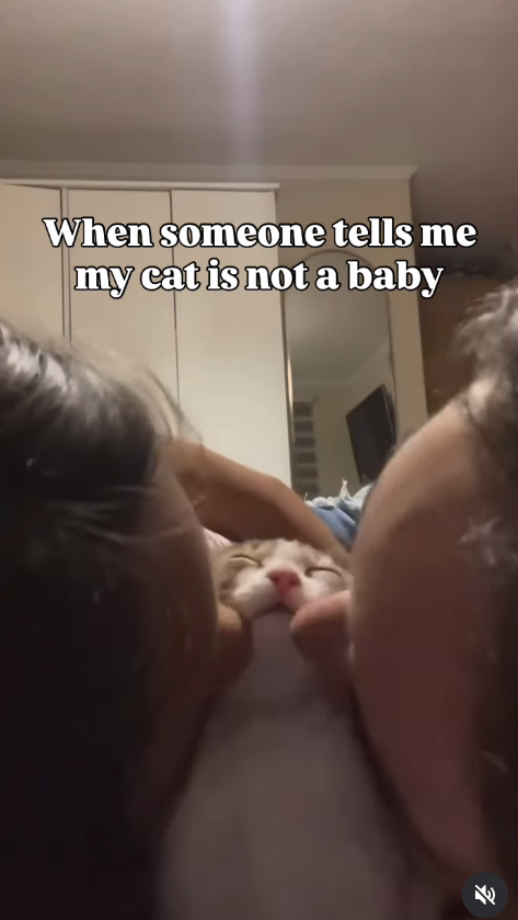 When someone tells me my cat is not a baby