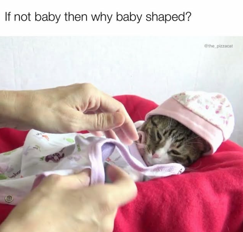 phar If not baby then why baby shaped? @the_pizzacat