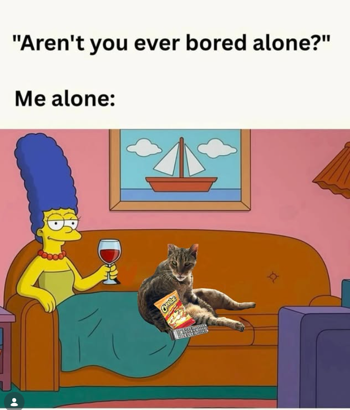 "Aren't you ever bored alone?" Me alone: D Cheetas
