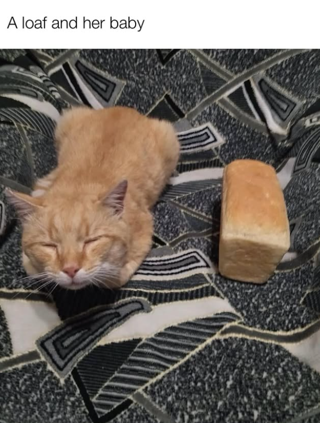 A loaf and her baby