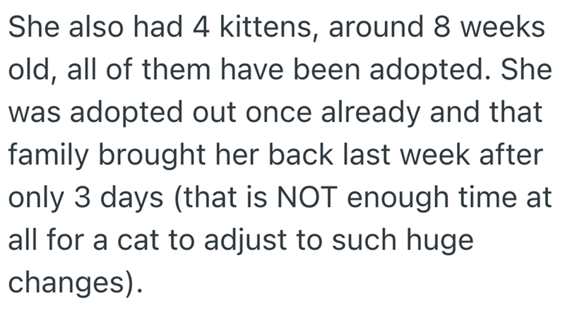 She also had 4 kittens, around 8 weeks old, all of them have been adopted. She was adopted out once already and that family brought her back last week after only 3 days (that is NOT enough time at all for a cat to adjust to such huge changes).