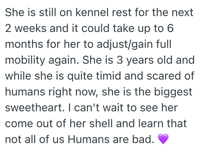 She is still on kennel rest for the next 2 weeks and it could take up to 6 months for her to adjust/gain full mobility again. She is 3 years old and while she is quite timid and scared of humans right now, she is the biggest sweetheart. I can't wait to see her come out of her shell and learn that not all of us Humans are bad.