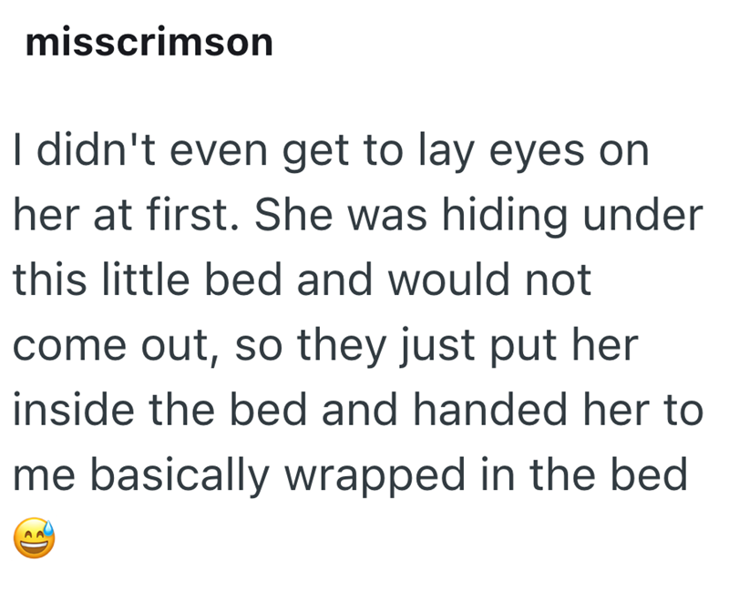 misscrimson I didn't even get to lay eyes on her at first. She was hiding under this little bed and would not come out, so they just put her inside the bed and handed her to me basically wrapped in the bed )