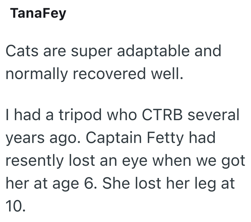 TanaFey Cats are super adaptable and normally recovered well. I had a tripod who CTRB several years ago. Captain Fetty had resently lost an eye when we got her at age 6. She lost her leg at 10.