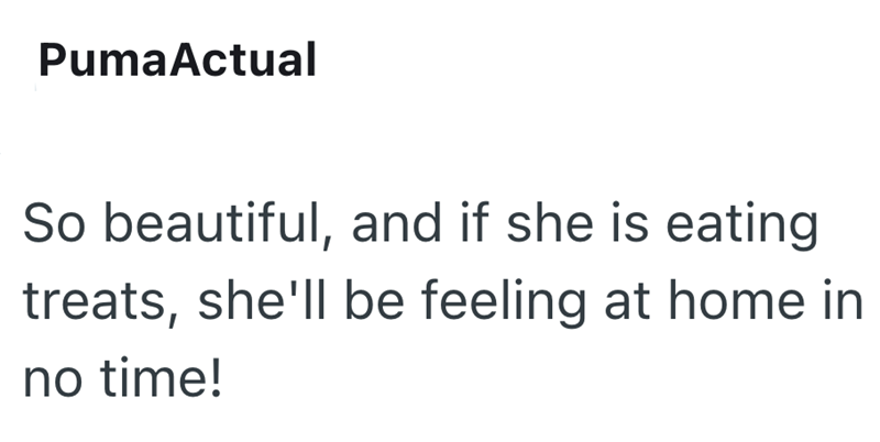 Puma Actual So beautiful, and if she is eating treats, she'll be feeling at home in no time!