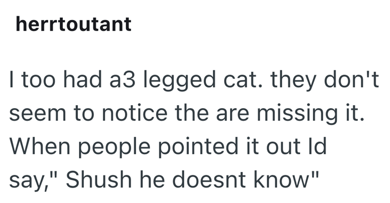 herrtoutant I too had a3 legged cat. they don't seem to notice the are missing it. When people pointed it out Id say," Shush he doesnt know"