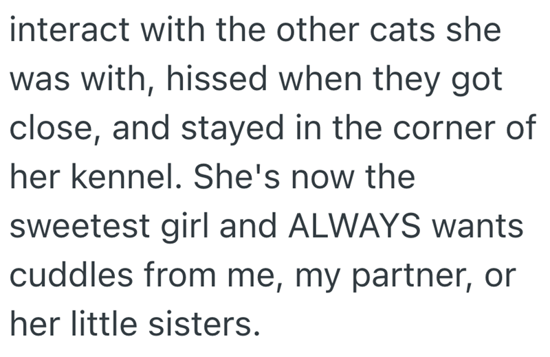 interact with the other cats she was with, hissed when they got close, and stayed in the corner of her kennel. She's now the sweetest girl and ALWAYS wants cuddles from me, my partner, or her little sisters.