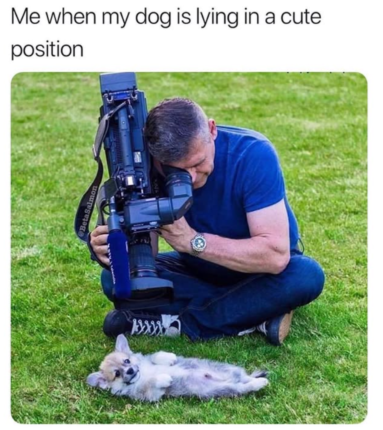 @BetaSalmon Me when my dog is lying in a cute position