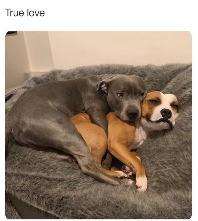 True love
