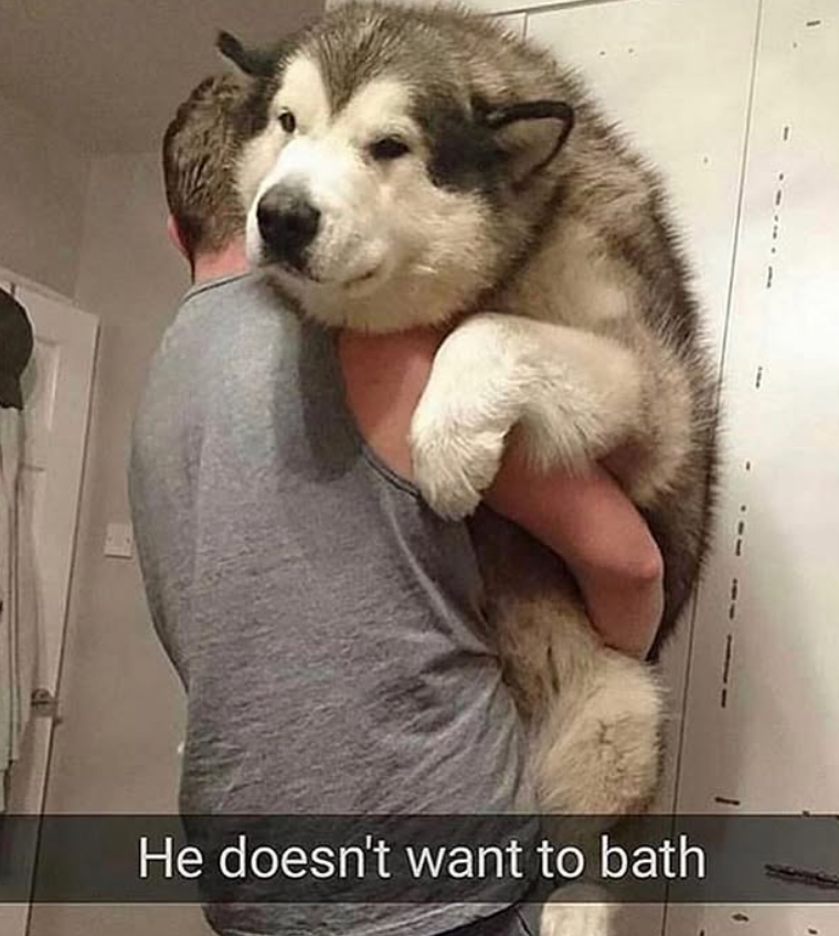 He doesn't want to bath