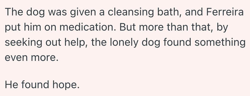 The dog was given a cleansing bath, and Ferreira put him on medication. But more than that, by seeking out help, the lonely dog found something even more. He found hope.